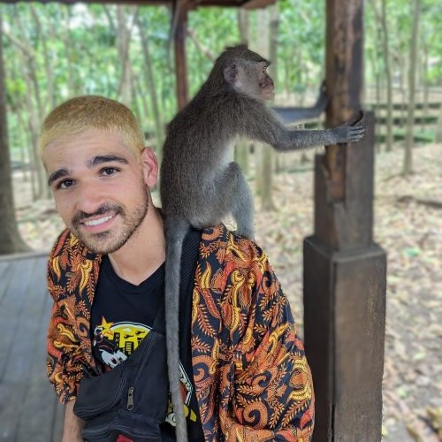 Itai — the Cactai Master